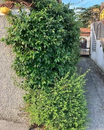 Апартаменты Casa Dei Gelsomini *